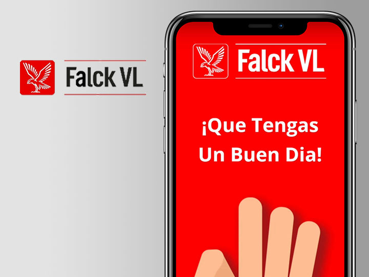 Falk vl